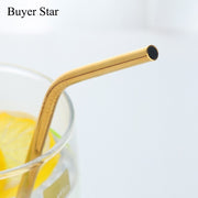 Reusable Metal Straw